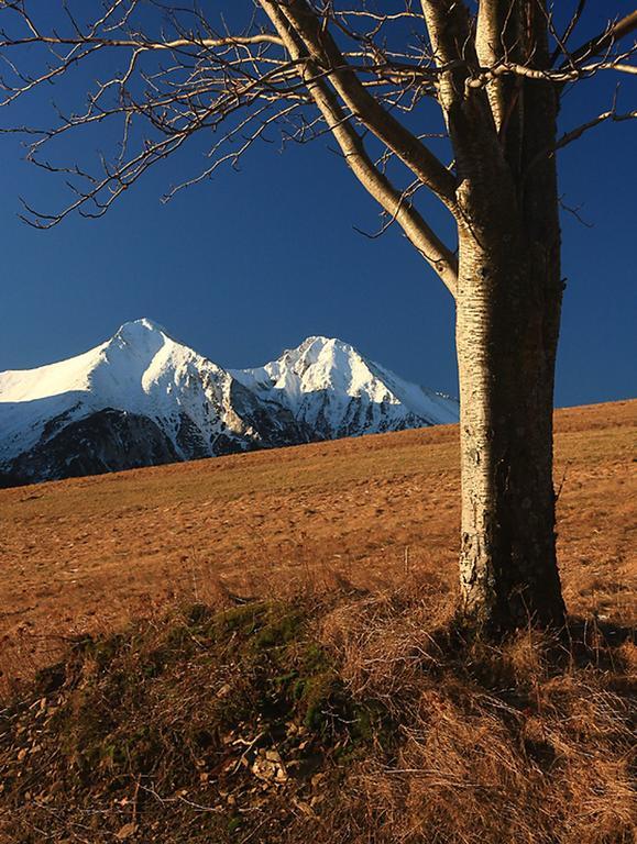 Penzion Horec III Ždiar Exteriér fotografie